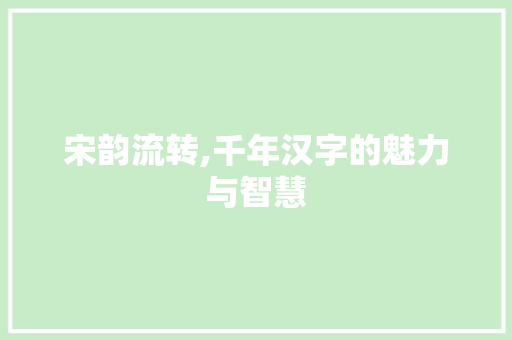 宋韵流转,千年汉字的魅力与智慧