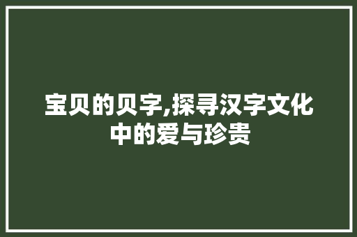 宝贝的贝字,探寻汉字文化中的爱与珍贵