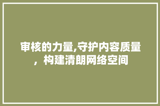 审核的力量,守护内容质量，构建清朗网络空间