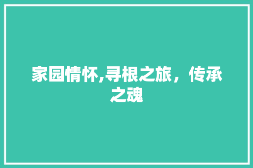 家园情怀,寻根之旅，传承之魂