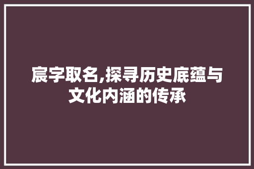 宸字取名,探寻历史底蕴与文化内涵的传承