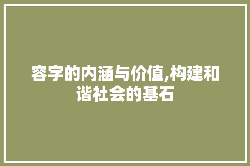 容字的内涵与价值,构建和谐社会的基石