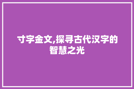 寸字金文,探寻古代汉字的智慧之光