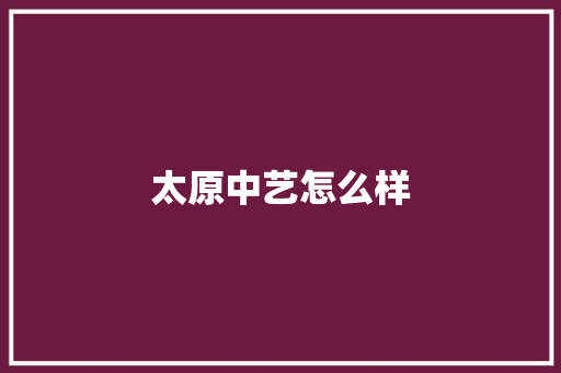 太原中艺怎么样 词句相关