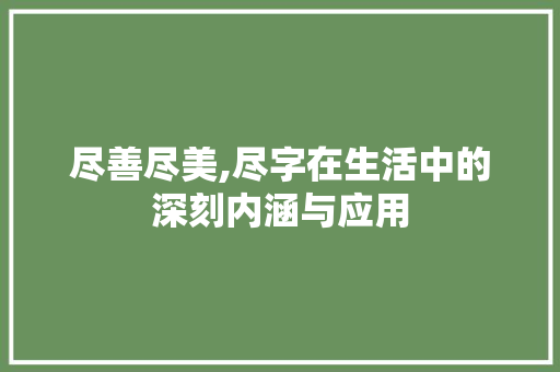尽善尽美,尽字在生活中的深刻内涵与应用