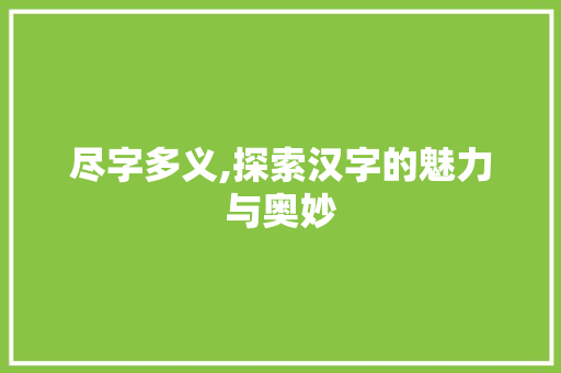 尽字多义,探索汉字的魅力与奥妙