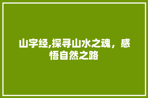 山字经,探寻山水之魂，感悟自然之路