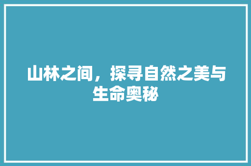 山林之间，探寻自然之美与生命奥秘
