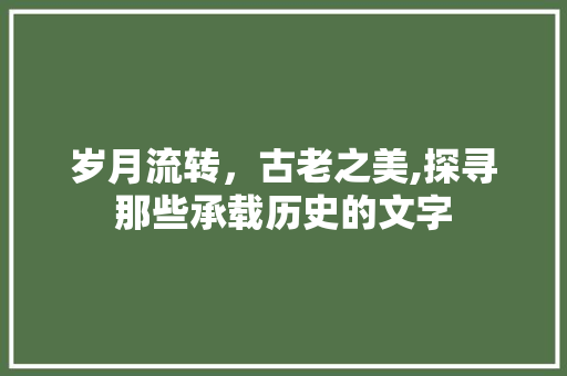 岁月流转，古老之美,探寻那些承载历史的文字