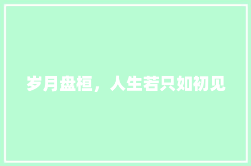 岁月盘桓，人生若只如初见