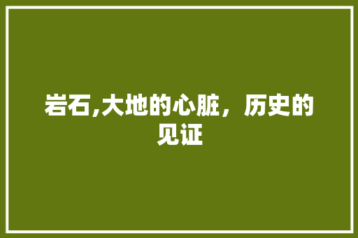 岩石,大地的心脏，历史的见证