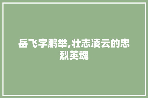 岳飞字鹏举,壮志凌云的忠烈英魂