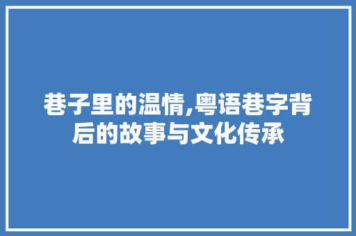 巷子里的温情,粤语巷字背后的故事与文化传承