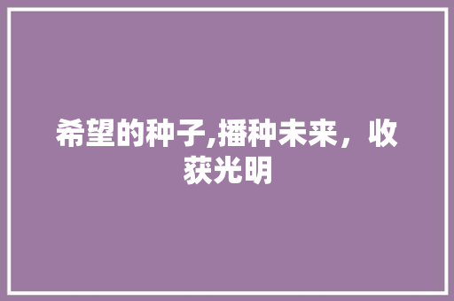 希望的种子,播种未来，收获光明