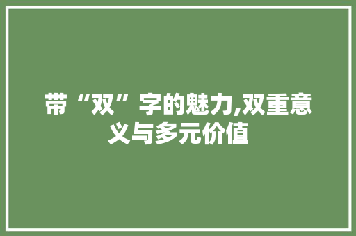 带“双”字的魅力,双重意义与多元价值