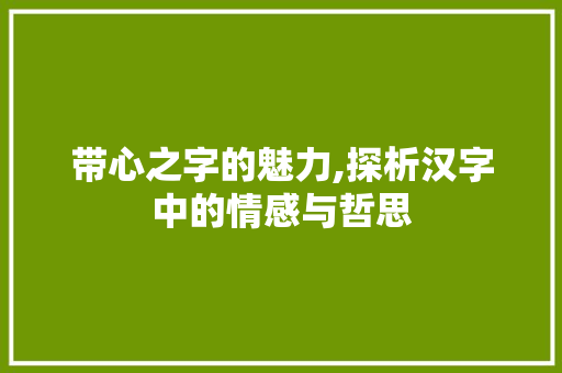 带心之字的魅力,探析汉字中的情感与哲思