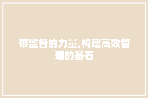 带监督的力量,构建高效管理的基石