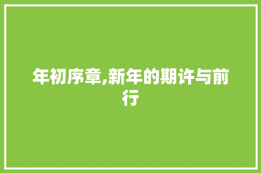 年初序章,新年的期许与前行