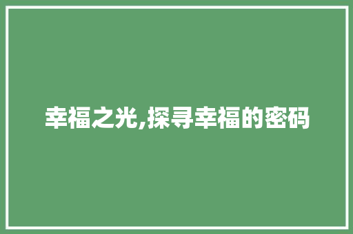幸福之光,探寻幸福的密码