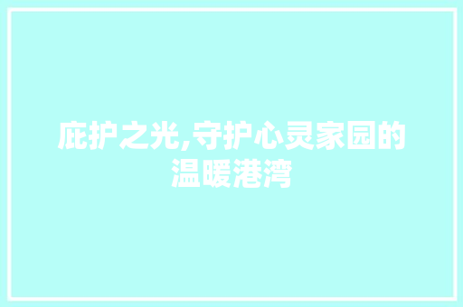 庇护之光,守护心灵家园的温暖港湾