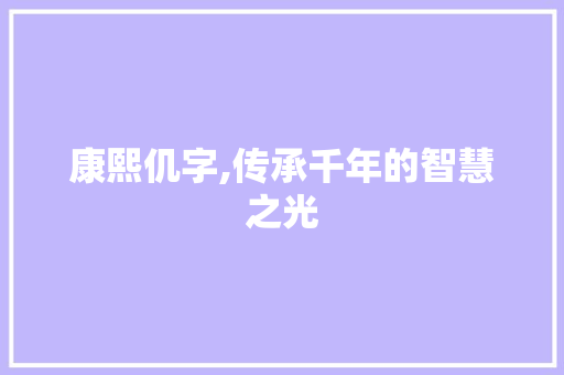 康熙仉字,传承千年的智慧之光