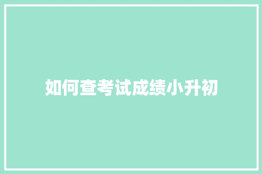 如何查考试成绩小升初