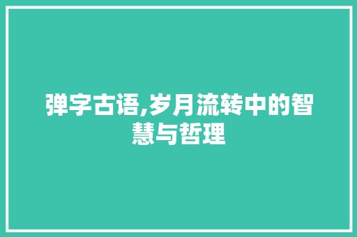 弹字古语,岁月流转中的智慧与哲理