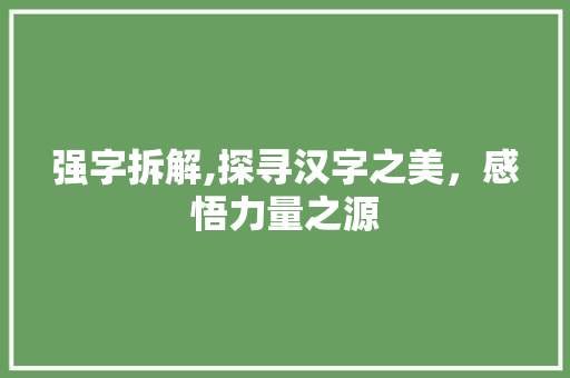 强字拆解,探寻汉字之美，感悟力量之源