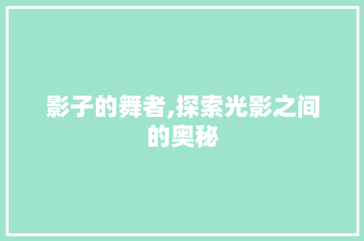 影子的舞者,探索光影之间的奥秘