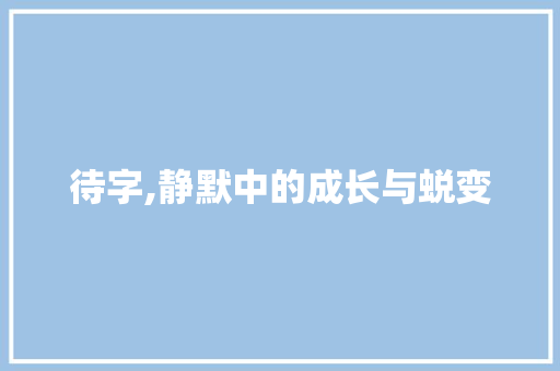 待字,静默中的成长与蜕变