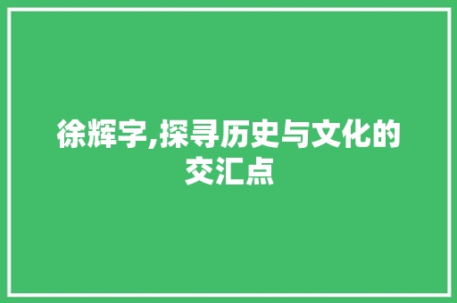 徐辉字,探寻历史与文化的交汇点