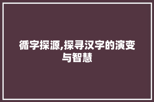 循字探源,探寻汉字的演变与智慧