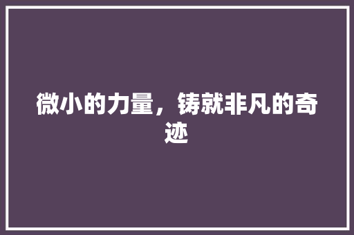 微小的力量，铸就非凡的奇迹