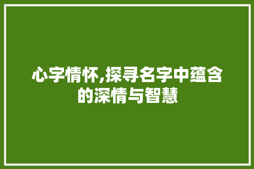 心字情怀,探寻名字中蕴含的深情与智慧