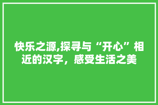 快乐之源,探寻与“开心”相近的汉字，感受生活之美