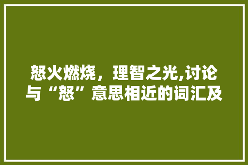 怒火燃烧，理智之光,讨论与“怒”意思相近的词汇及其文化内涵