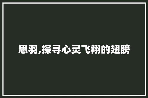 思羽,探寻心灵飞翔的翅膀
