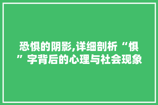 恐惧的阴影,详细剖析“惧”字背后的心理与社会现象