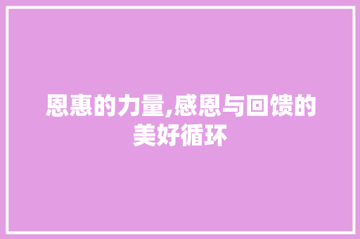 恩惠的力量,感恩与回馈的美好循环