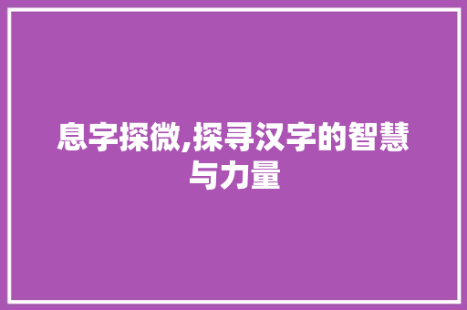 息字探微,探寻汉字的智慧与力量