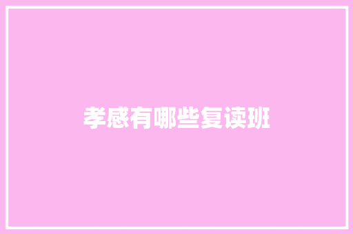 孝感有哪些复读班