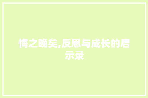悔之晚矣,反思与成长的启示录
