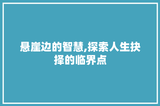 悬崖边的智慧,探索人生抉择的临界点