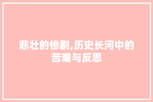悲壮的惨剧,历史长河中的苦难与反思