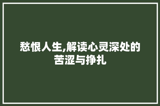 愁恨人生,解读心灵深处的苦涩与挣扎