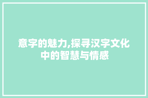 意字的魅力,探寻汉字文化中的智慧与情感