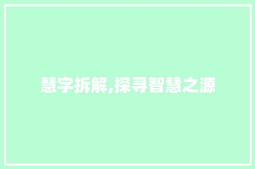 慧字拆解,探寻智慧之源