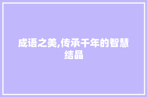 成语之美,传承千年的智慧结晶