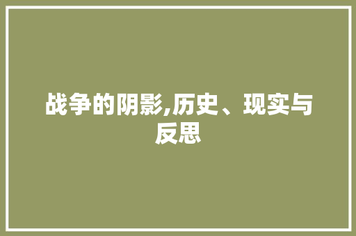 战争的阴影,历史、现实与反思