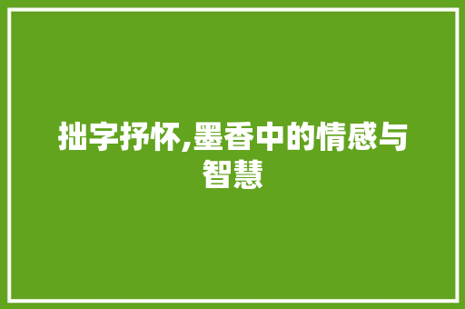 拙字抒怀,墨香中的情感与智慧